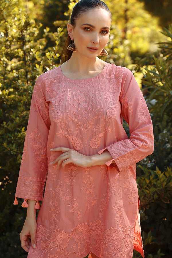 Coral Sunset - peach